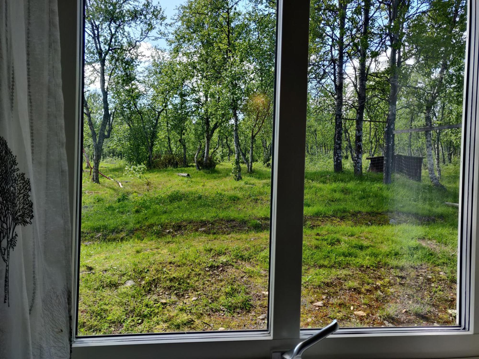 كيرونا Husky Lodge Hostel الغرفة الصورة